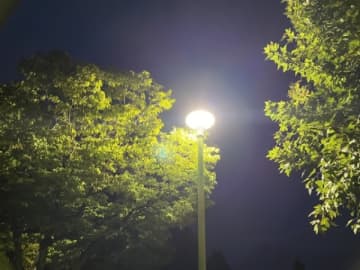 怪異？ 雨上がりの夜、公園に響く犬の唸り声…近づいてきた男性が次の瞬間にはいなくなっていた