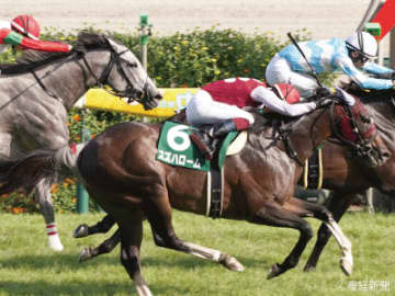 【ＣＢＣ賞】前走1～3着か大敗した馬が狙い目！ＯＰ特別組で見る攻略POINT