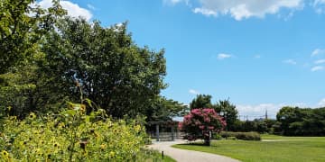 8/17(日)開催！自然を大満喫「ふれあいの森公園 ミニフェスタPart2」＠弁天ふれあいの森公園