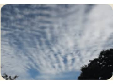 朝夕の空に現れる雲の交差点「二重雲」の見分け方【最新の国際基準で見わける 雲の図鑑】