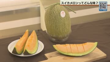 「スイカメロン」大丸札幌店でお中元ギフトに