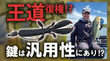 【4gがキモ！】カバー撃ちなら『テキサス』でしょ！国内随一の使い手といえば…