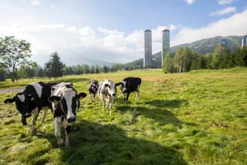 ここでしか体験できない最高の夏！農業とリゾートを融合した「循環型ファームステイ」で自然と食を大満喫