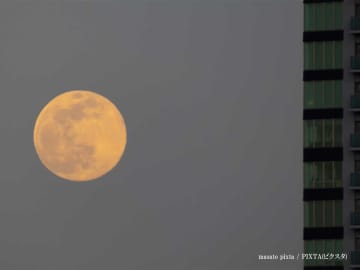 年に一度の『スタージョンムーン』がついに！　夏の夜空を眺めよう