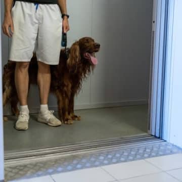 犬と『ペット可のマンション』で暮らすときに注意すべきこと５つ　守るべきマナーや注意点とは