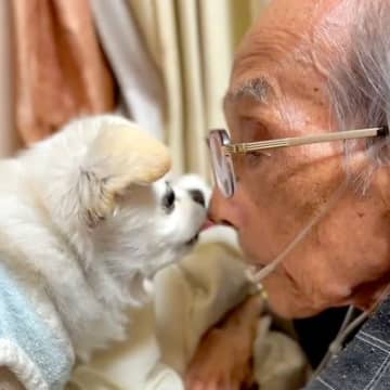 95歳で亡くなったおじいちゃん→いつも犬の名前を優しく呼んでいて…涙無しには見られない『愛に溢れた光景』が123万再生「泣いた」「素敵」