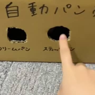 段ボールで自動パン売り機のおもちゃを作成→『パンください』と声をかけると、猫が…240万再生突破の光景に「欲しいｗ」「ナイスアイデア」と絶賛