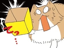 手っ…手に箱がぁーーーっ！！！【ぷりっつさんち③】