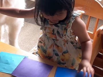 片手で制御する３歳児　右手の先には…「笑っちゃった」「強者の貫禄だ」