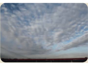 別名“アブラハムの樹” 放射状に広がる雲が告げる天気の変化とは？【最新の国際基準で見わける 雲の図鑑】