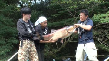 富山の古城跡に棲む1m超えの人読んで“お掘の潜水艦” 『DASH』チームの捕獲作戦の結果は…