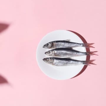猫には絶対に与えてはいけない『要注意な魚介類』4種　猫＝魚好きと安易に考えては危険！