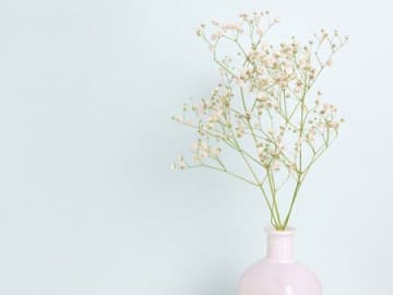 8月11日（月）今日は4つの吉日が重なる超ラッキーデー！ただし、2つだけ「絶対にやらないほうがいいこと」があるのでご注意を！