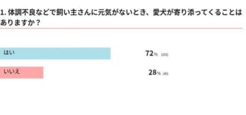 【調査】元気がないとき、愛犬は寄り添ってくれる？「犬は飼い主の不調がわかるか」解説