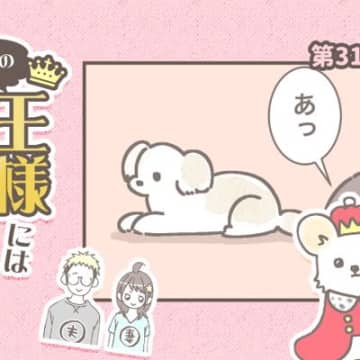うちの王様にはどうしても抗えない【第316話】「うざいから」