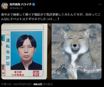 【爆笑】ハライチ岩井勇気、免許証写真が「チベットスナギツネそっくり」と話題！ファンも大盛り上がり