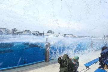 水着でいくべき？神戸須磨シーワールドびしょ濡れイベント２連発