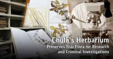 チュラーロンコーン大学の植物標本室、タイの植物を研究と犯罪捜査のために保存
