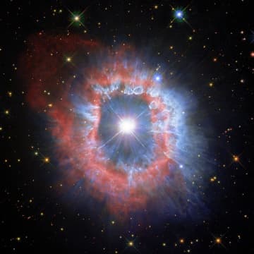 超明るく超巨大な「りゅうこつ座AG星」　光度は太陽の150万倍、質量は約70倍