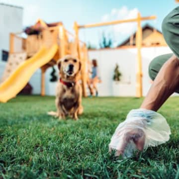 他人を困らせる犬の飼い主の『マナー違反』5選　トラブルを引き起こすNG行動や周りにすべき配慮まで