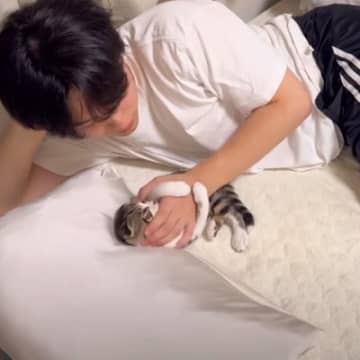 子猫の『寝る前のルーティン』を撮影してみたら…思わず悶絶する『可愛すぎる光景』が123万再生「感動した」「ただの天使じゃないか」