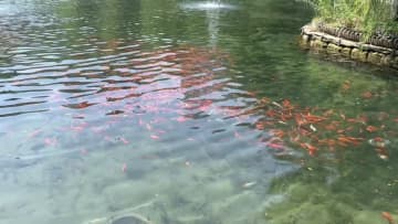 市民の避暑地、水磨溝風景区　中国新疆ウイグル自治区
