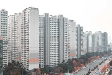 新築マンションに「タマバエ」が…家具にはカビがびっしり＝韓国