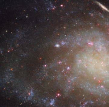 輝度は低くても高い注目度　ハッブル宇宙望遠鏡が観測した“くじら座”の銀河「NGC 45」