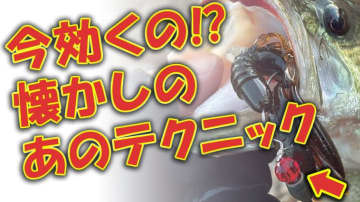 【覚えてる？】テキサスリグにちょい足しのあのテクニックが今キテル!!キーワードはリアクション!!