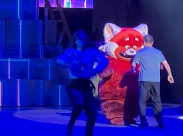 上海ディズニーランドで男性客が2年間「出禁」に、何をした？―中国