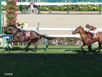 【札幌記念】①人気の勝ち馬は2011年以降不在！連軸向きなのは！？過去10年の傾向から見る人気と配当