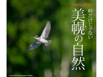 SSDやカラマネモニターが賞品！ 人気の動物写真家が審査するフォトコンテスト「峠だけじゃない美幌の自然」