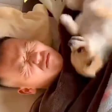 朝6時、爆睡しているパパ→起きた犬が隣で…想像を超える『激しい目覚まし方法』が16万再生「寝坊せずにすみそうｗｗ」「痛そうで草」と爆笑