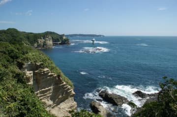 千葉県勝浦市や漁協など、「勝浦市藻場保全対策協議会」を設置