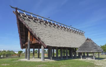 国史跡に大量の樹木廃棄か　大阪・池上曽根遺跡