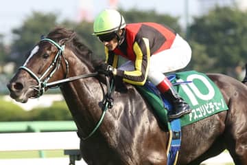 【ジャックルマロワ賞】アスコリピチェーノ＆ゴートゥファースト、現地で最終調整完了…13日の追い切りも上々