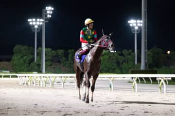 【黒潮盃】マウンテンローレル快勝…前年比増で盛況