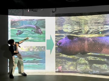 「カワスイ」川崎水族館5周年で催し多彩　生き物の成長記録や記念グッズ