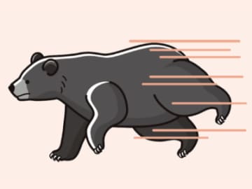 ホッキョクグマは9日間泳ぎ続ける!? 多才なアスリートクマの驚異のスタミナ【眠れなくなるほど面白い 図解 クマの話】