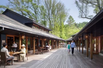 【軽井沢ハルニレテラス】なぜ駐車場待ちの長い列ができるほど人気に？口コミで判明した「何もしない贅沢」と、絶対後悔しない『朝活』のすすめ