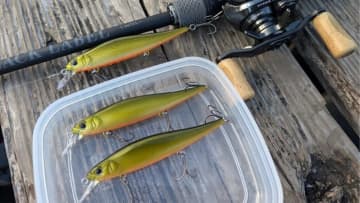 最新ジャークベイトが完成！ ボトムアップから登場する「フランジャー」を川村光大郎さんが解説！