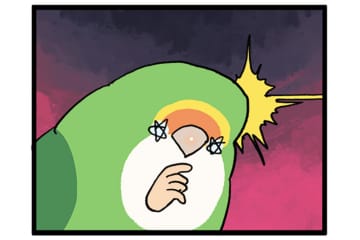 愛鳥あるある？「そのイタズラわざとだよね？」【鳥マンガ＃98】