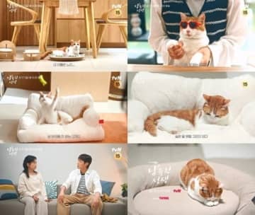 人間の登場シーンが約2秒？Highlight ユン・ドゥジュンの新ドラマ、ほとんど猫の予告映像が話題に