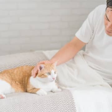 猫が『添い寝してくれない』のはなぜ？考えられる4つのワケ　前はしてくれていた場合の理由も