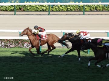 【札幌記念】牝馬で連対馬が出ているのは！？牝馬で見る攻略POINT