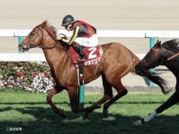 【札幌記念】1頭軸マルチにおすすめなのは！？三連単を的中させる軸馬・相手馬の狙い方