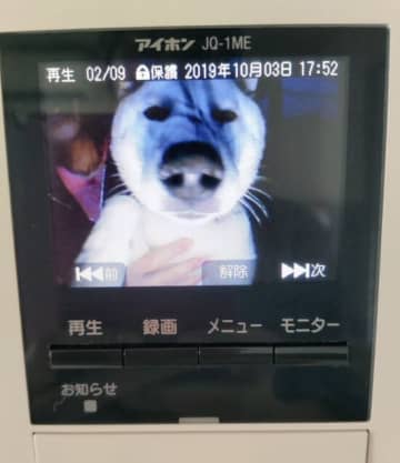 インターホンに映った何かの正体は…衝撃のドアップに83万人が震撼！「ホラー映画に出れるレベル笑」とSNSで話題に