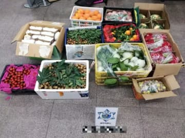 マカオ税関、運び屋による密輸事案11日間で13件摘発…海上・沿岸のパトロールも強化