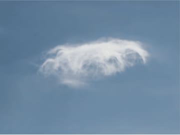 青空を漂う“雲のクラゲ” その儚く美しい正体とは？【最新の国際基準で見わける 雲の図鑑】