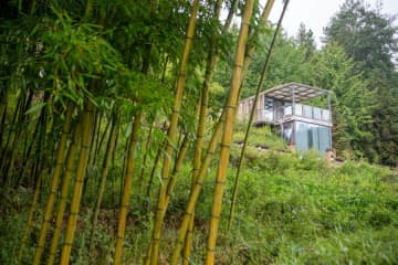 鉱山開発から竹林産業へ、重慶市竹山鎮が歩むグリーン発展の道